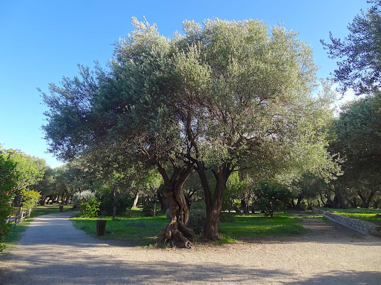 parc de Roquebrune Cap Martin