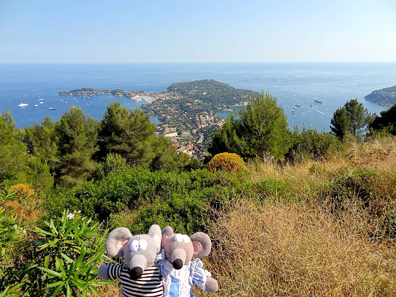 vue sur Saint Jean depuis le plateau Saint-Michel