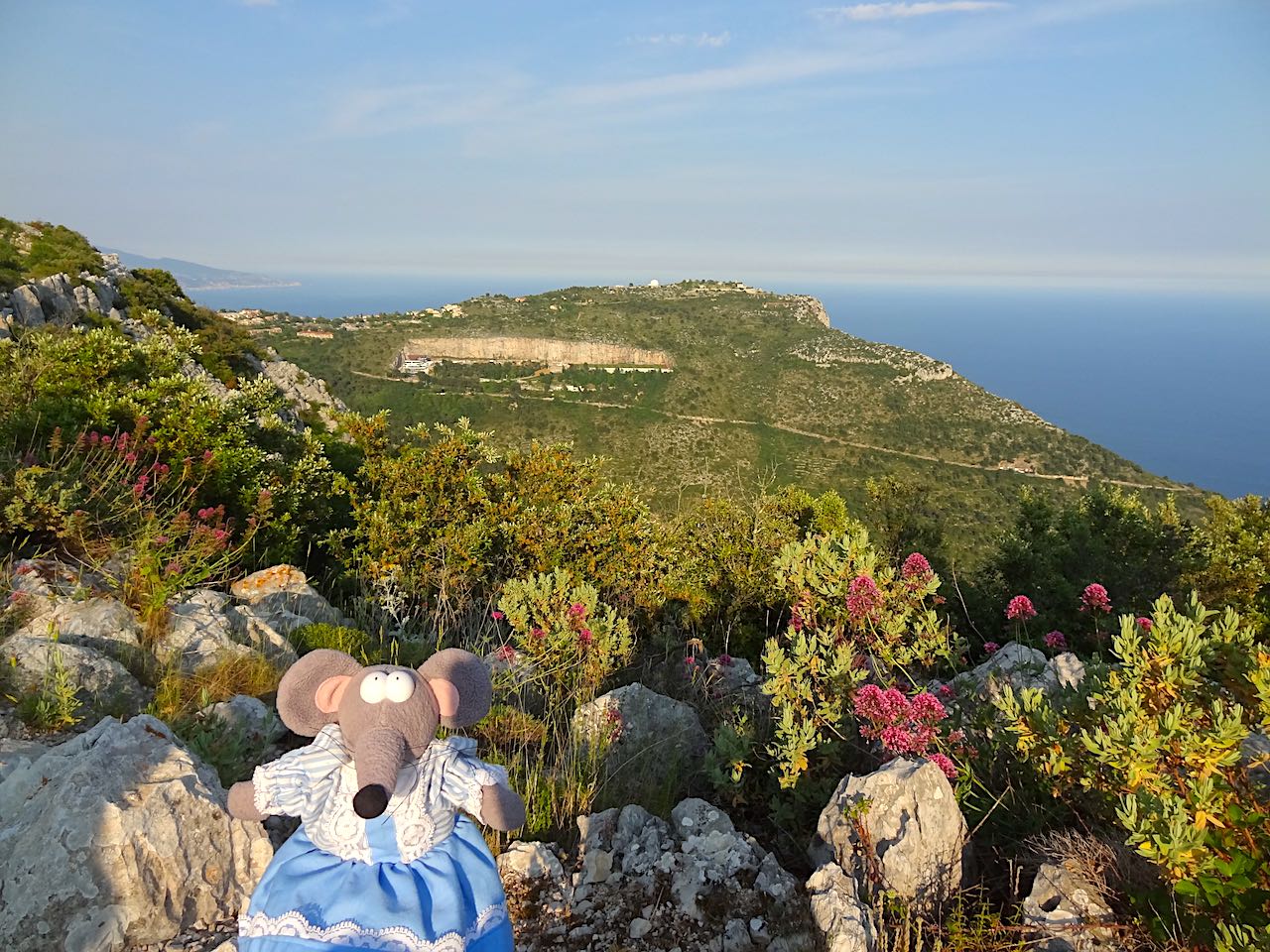 vue sur la Tete de chien