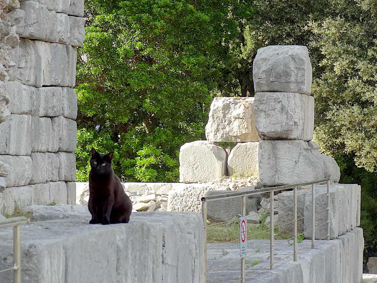 chat à la Turbie