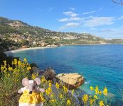 vue sur roquebrune cap martin