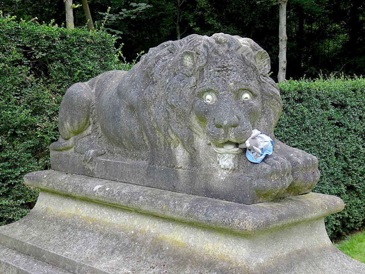 Lion dans le parc de Courances