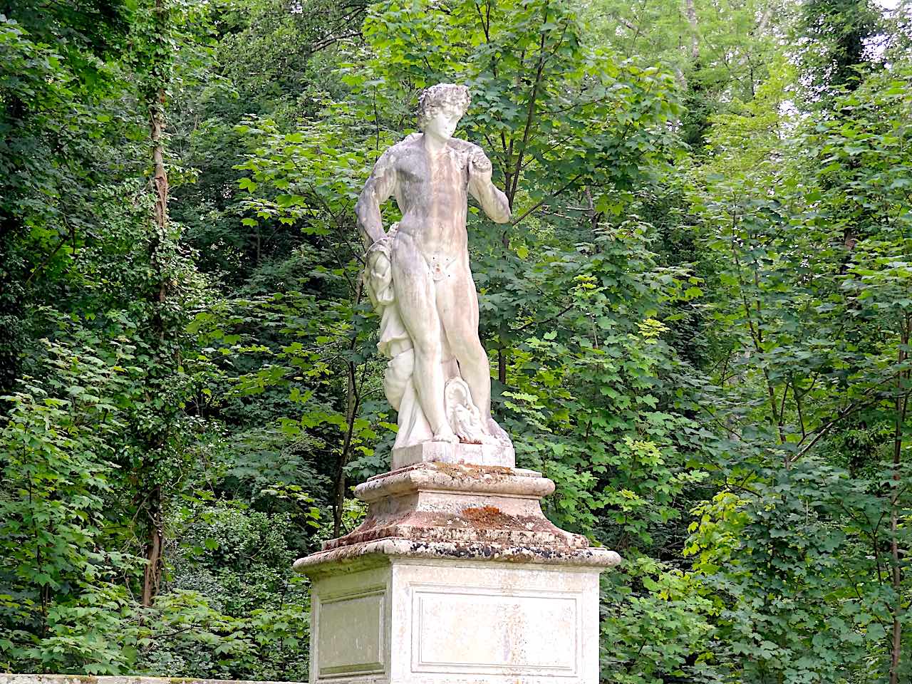 rond de Moigny au parc de Courances