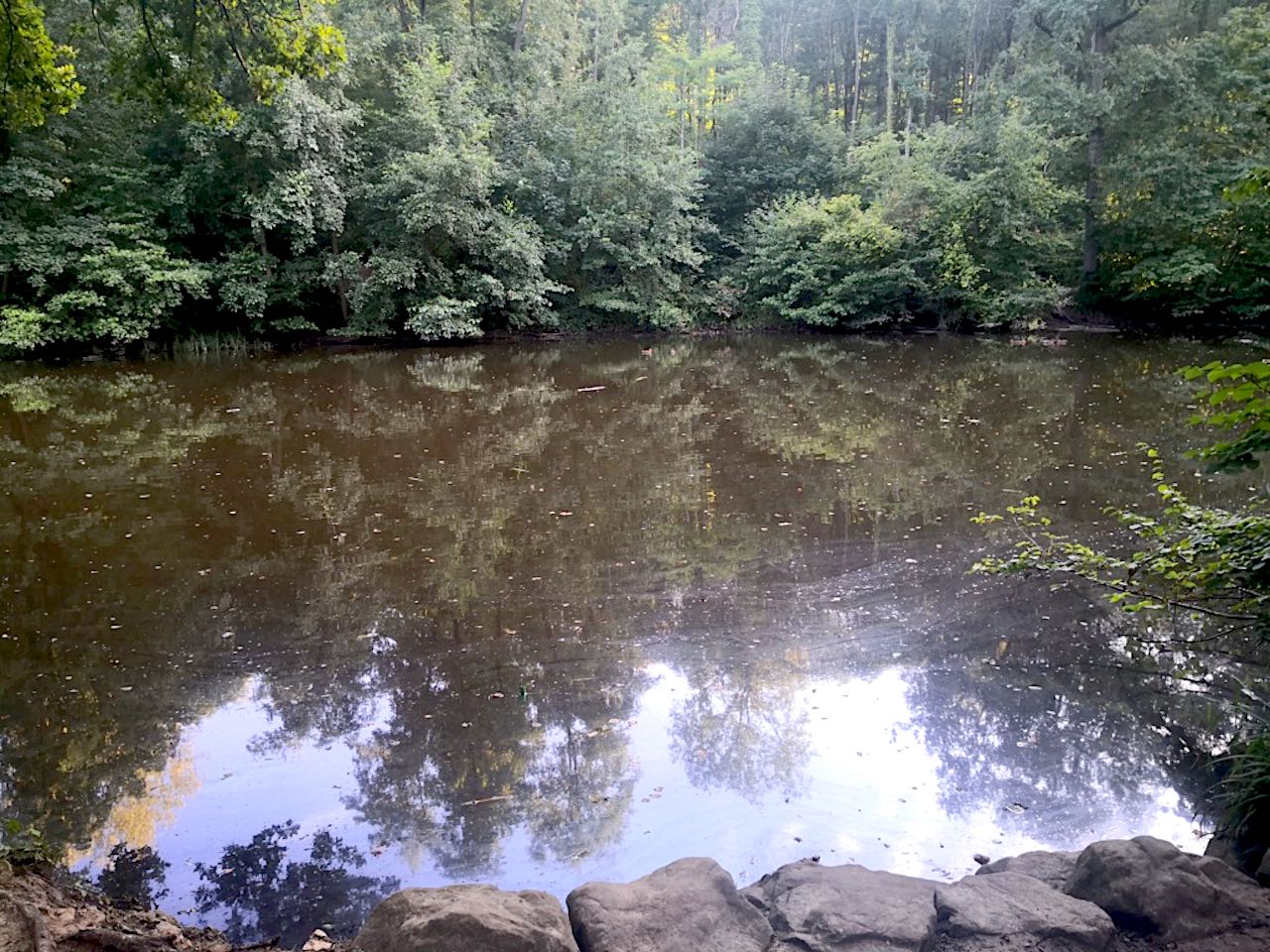 étang Marie forêt de Montmorency