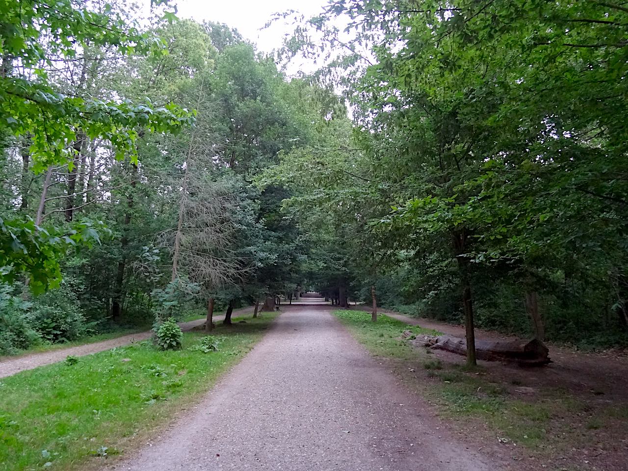 croix saint Jacques forêt de Montmorency