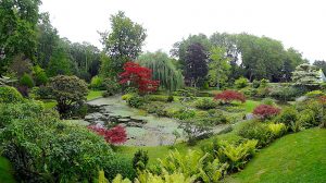 jardin japonais de Courances