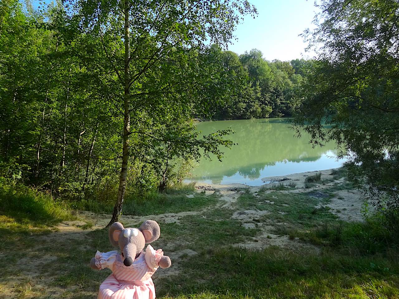 lac bleu en forêt de Carnelle