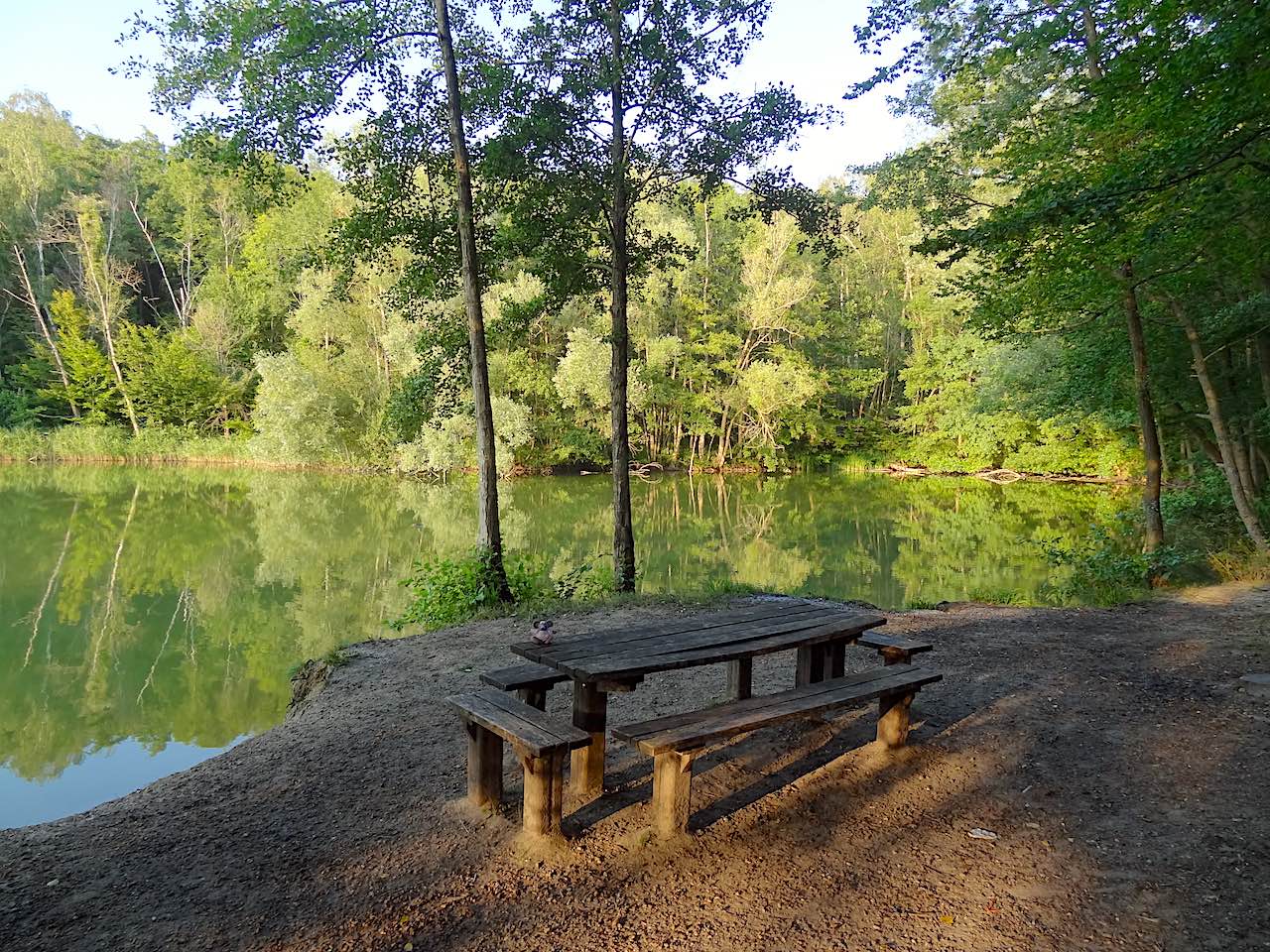 petit étang en forêt de Carnelle