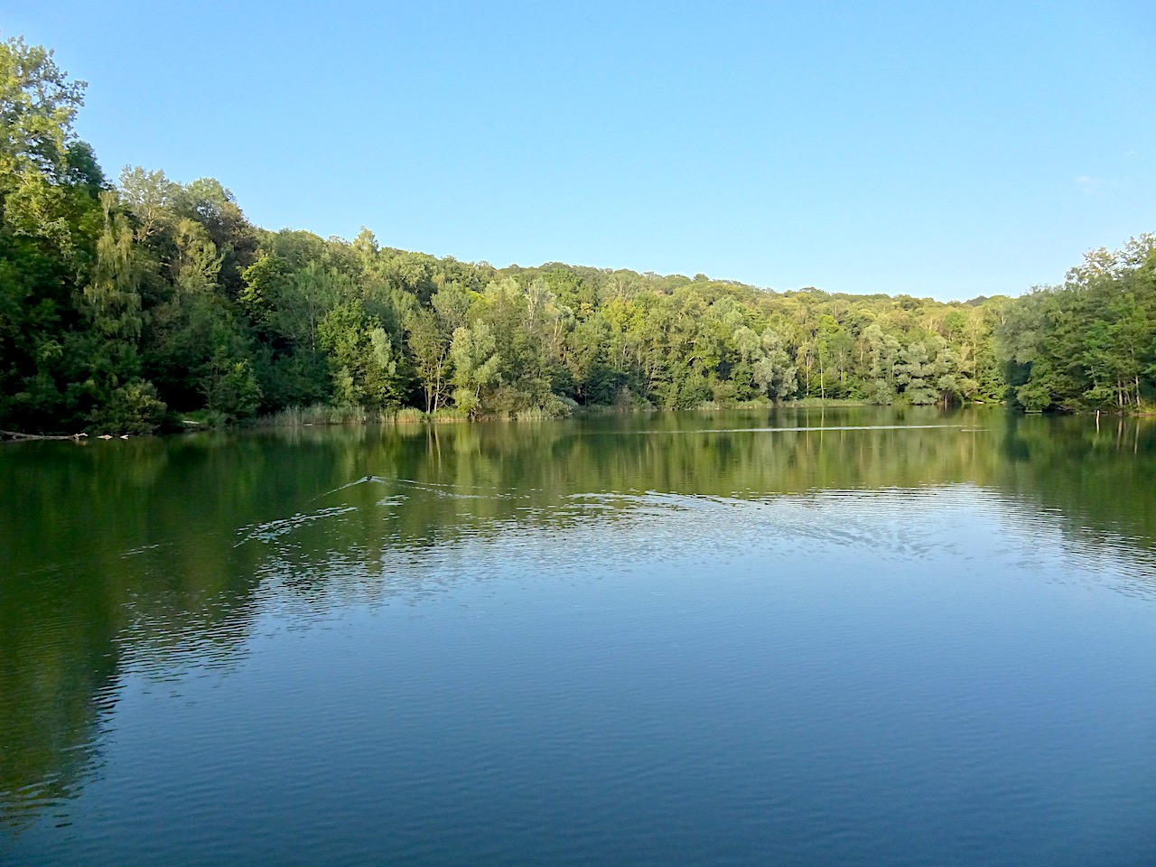 petit étang en forêt de Carnelle