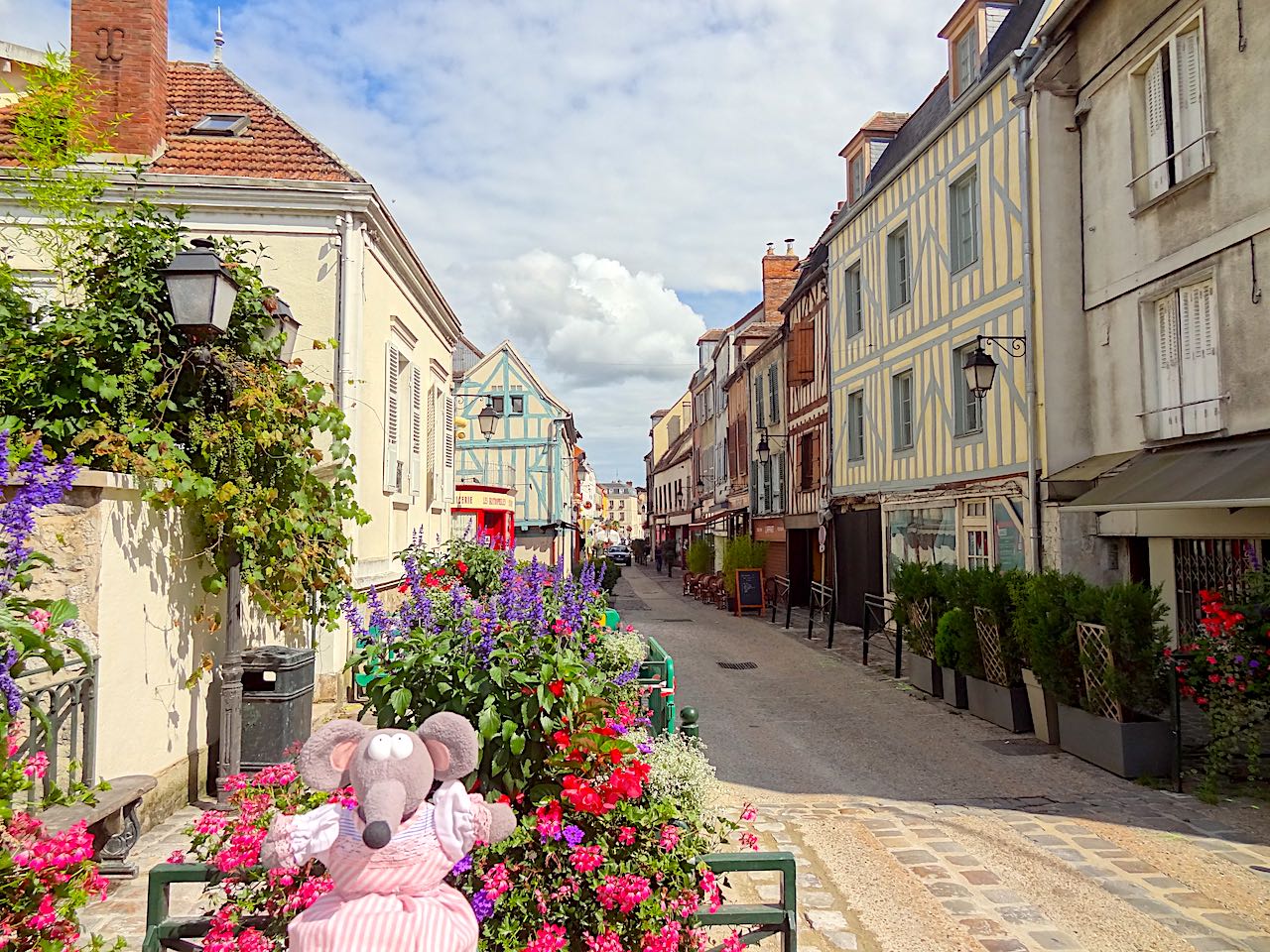 Provins rue piétonne