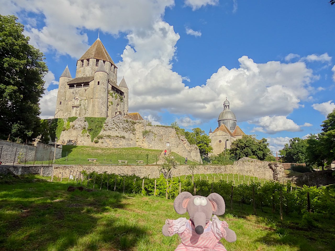 Tour César à Provins