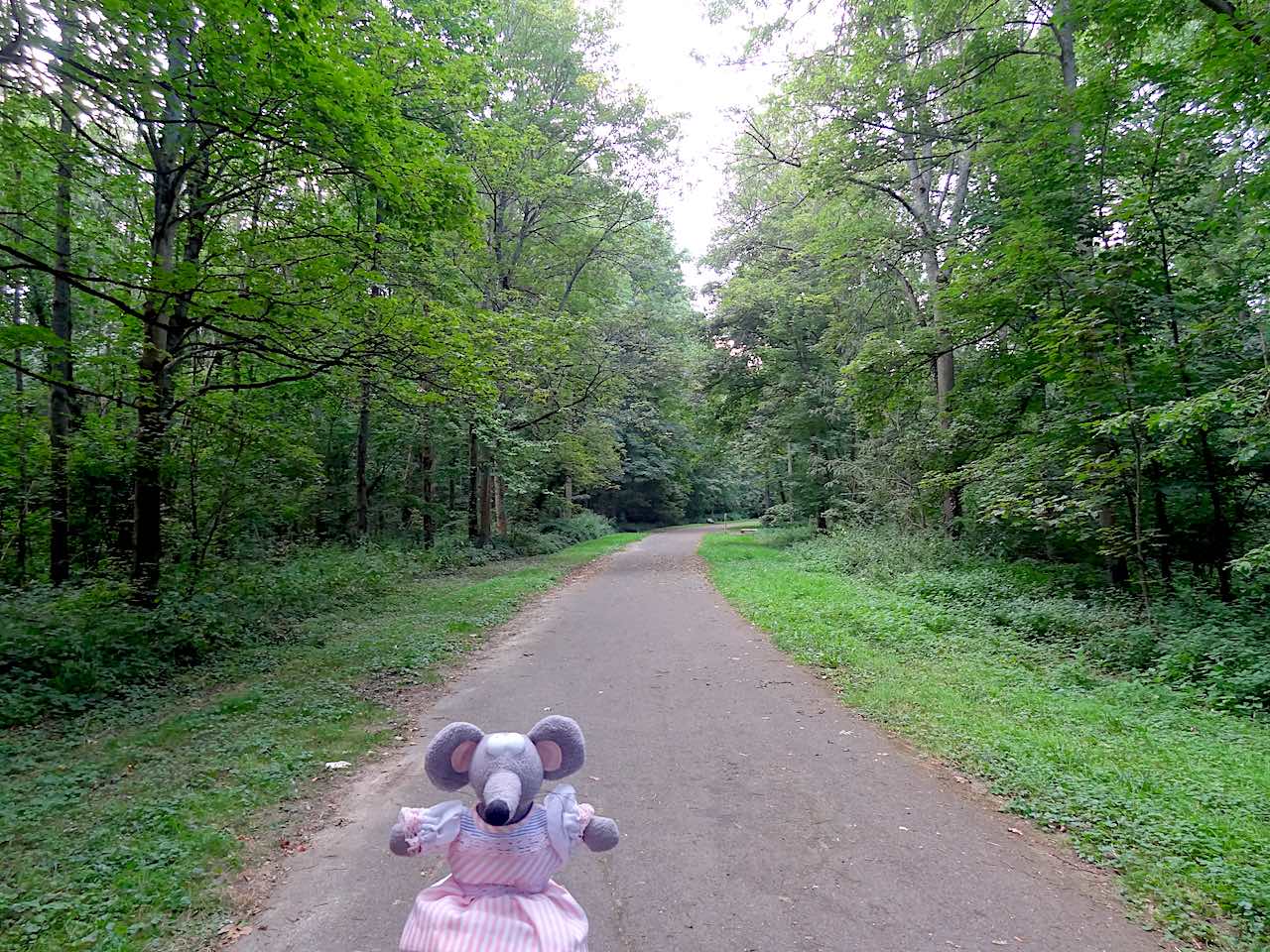 Parc de Baillet en France