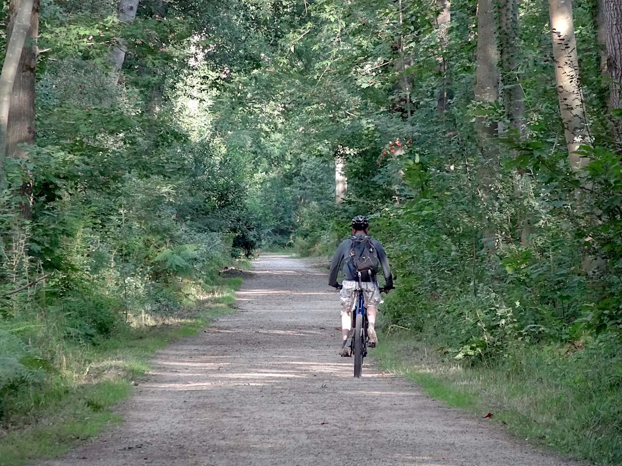 cyclisme en forêt de Montmorency