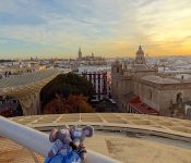 vue sur Seville depuis le Parasol