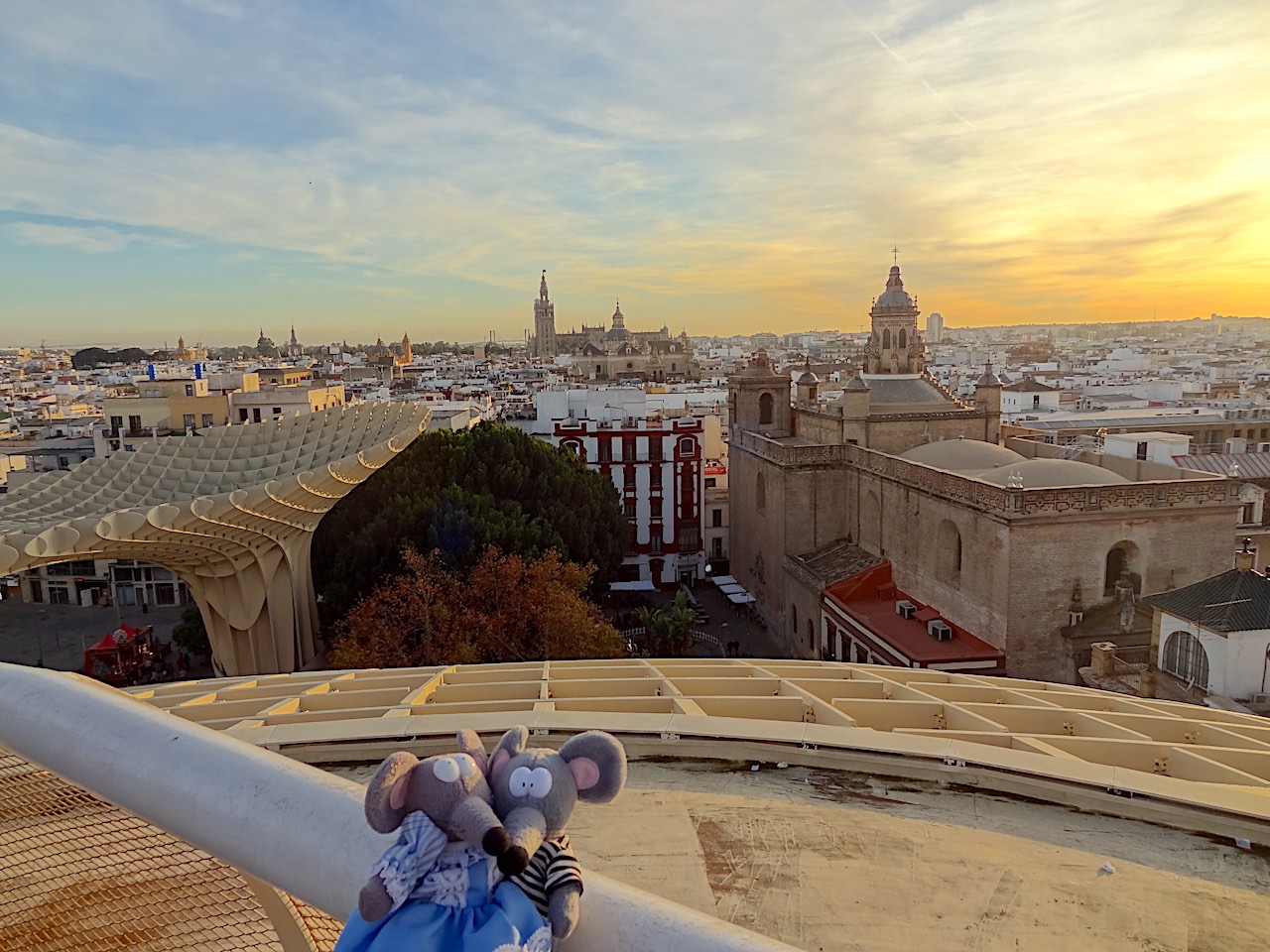 vue sur Seville depuis le Parasol