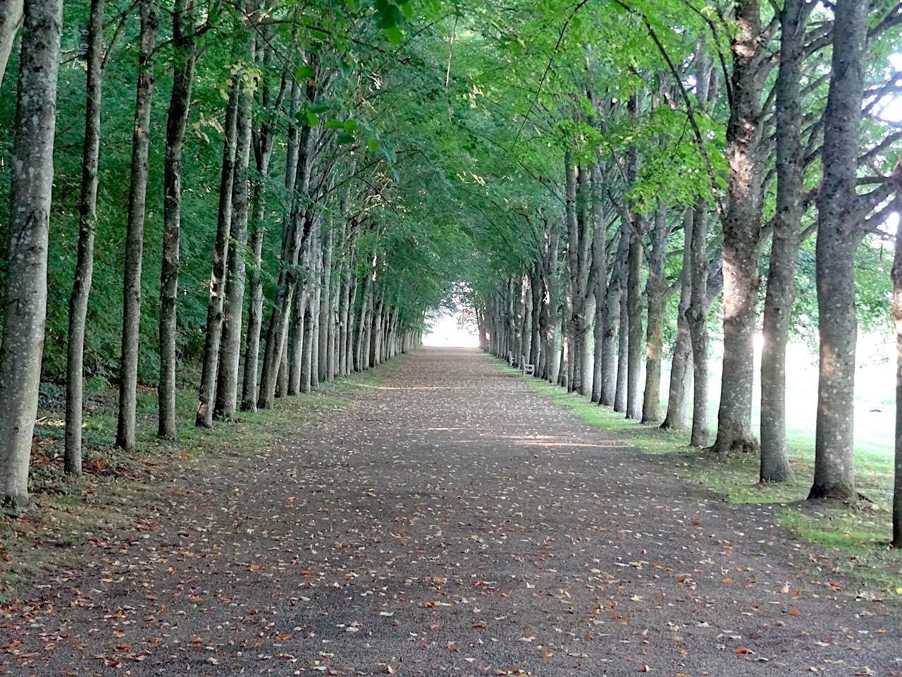 allée Racine au château de Maintenon