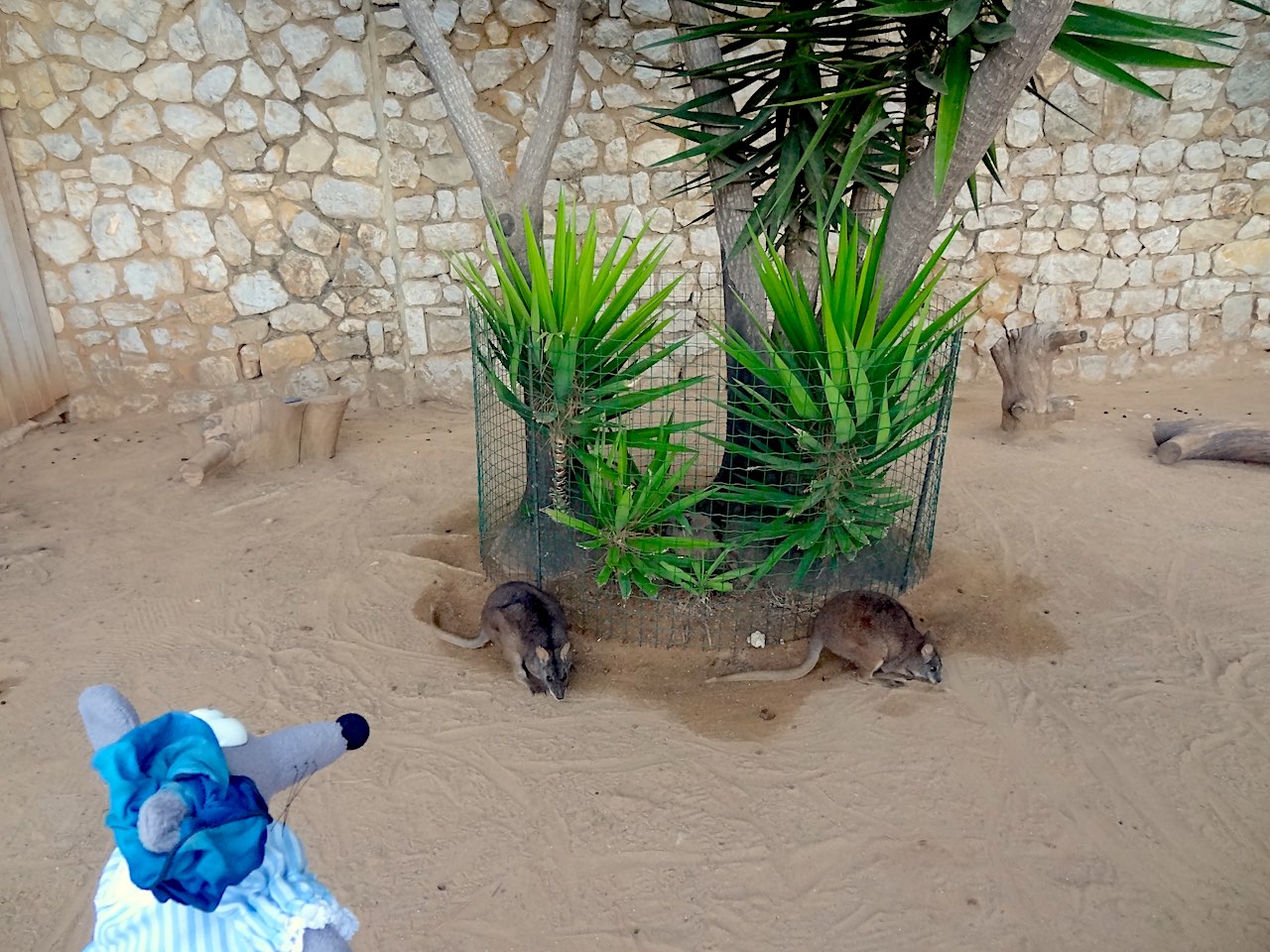 jardin animalier de Monaco