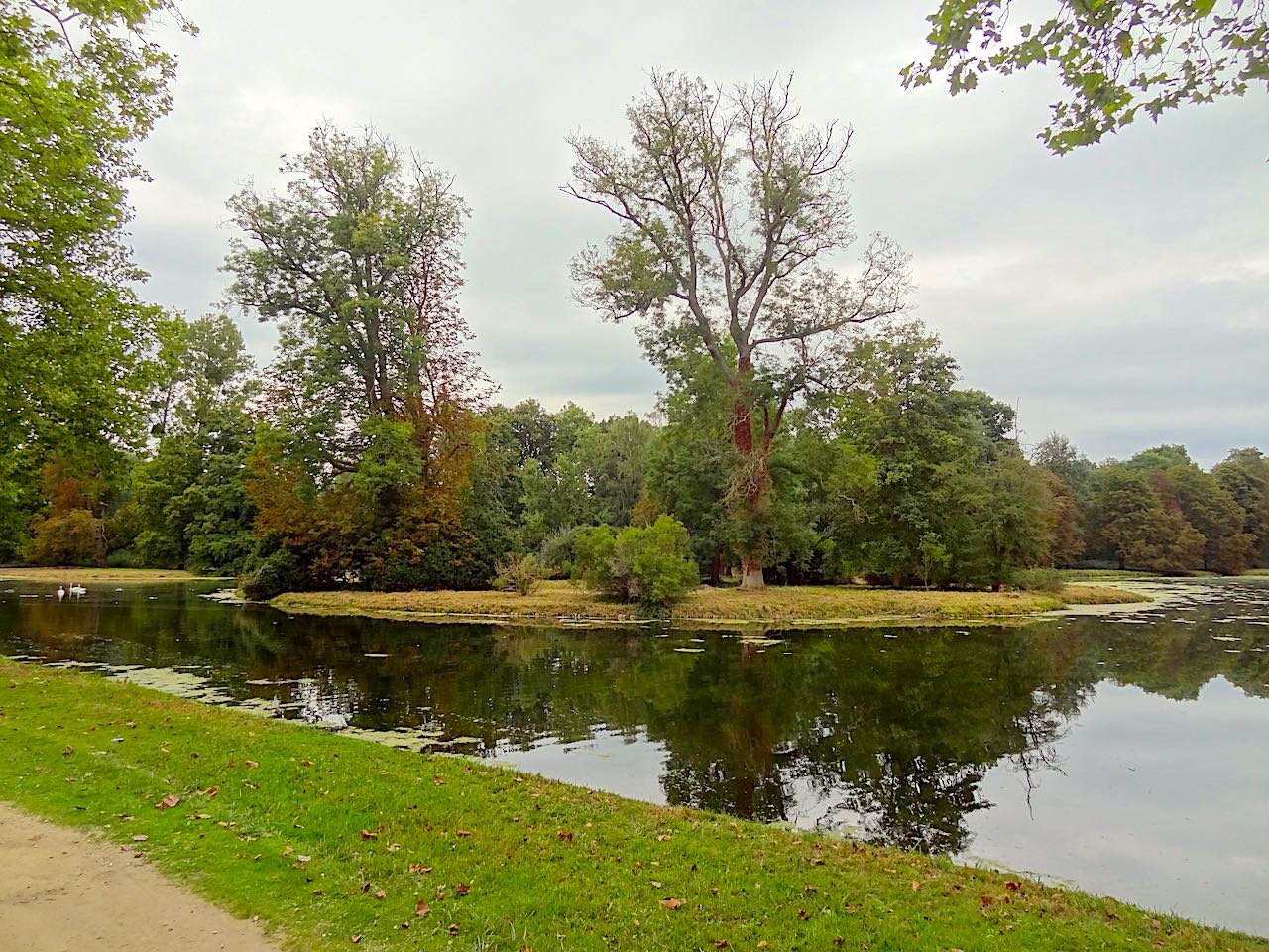 jardin à l'anglaise du parc de Rambouillet