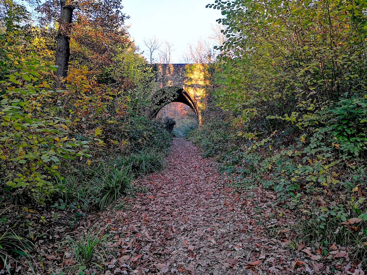pont du diable forêt de montmorency en automne
