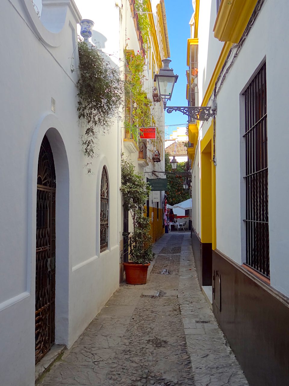 ruelles de Santa Cruz à Séville