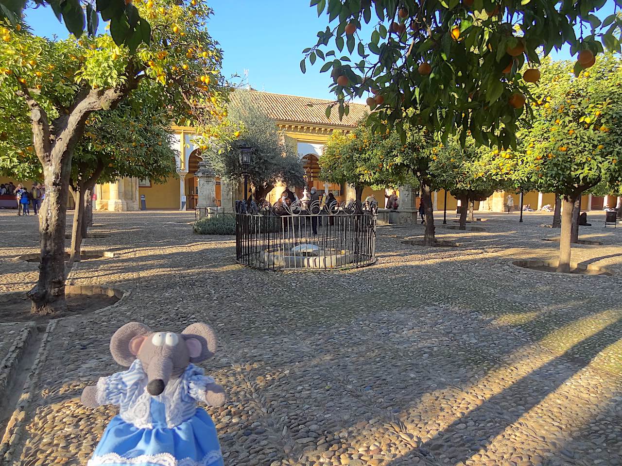 cour des orangers de la mezquita de Cordoue