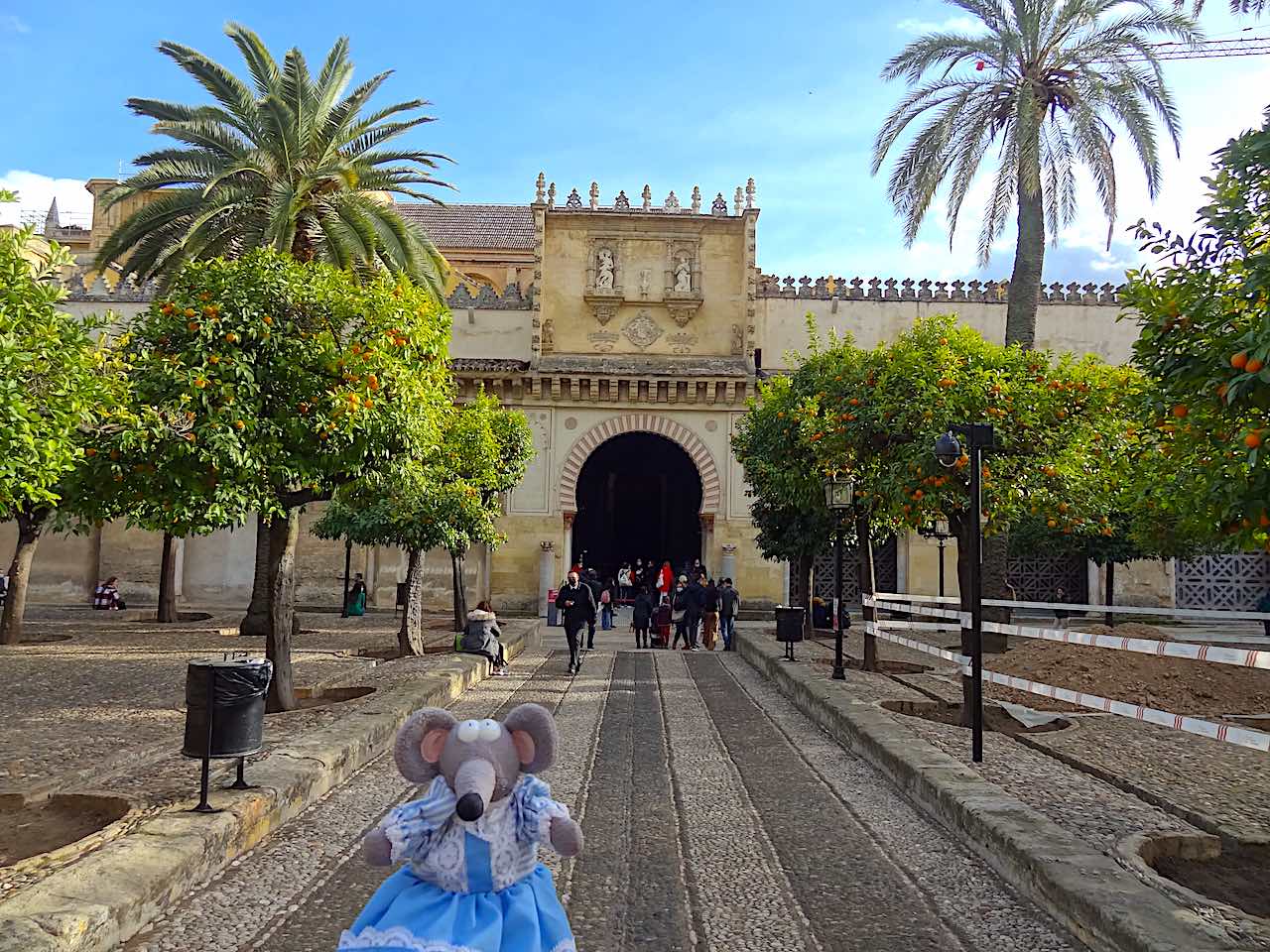 puerta de las palmas de la mosquée cathédrale de Cordoue