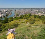 vue globale sur Rouen