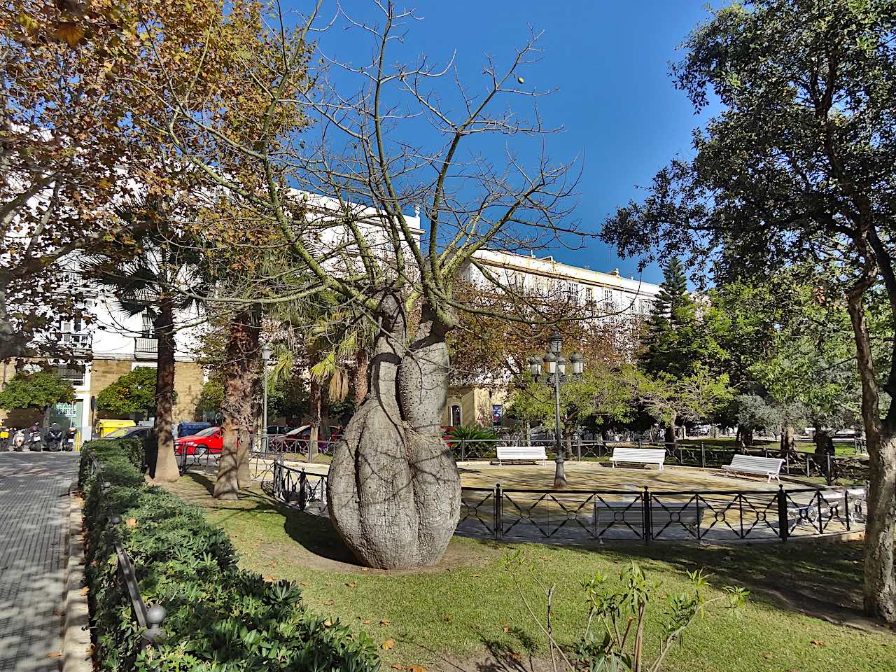 Paseo de Canalejas Cadix