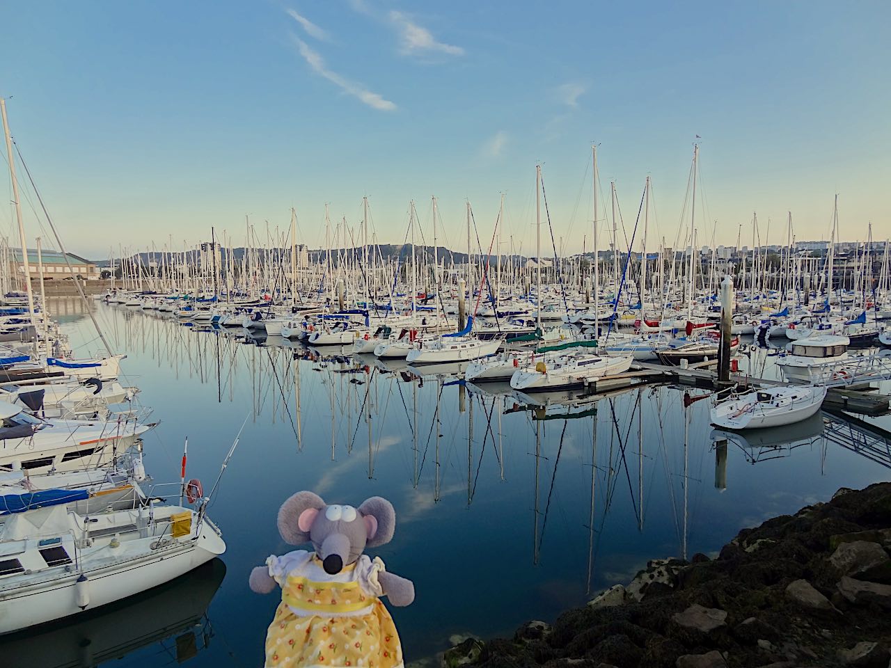 port des Chantereyne de Cherbourg