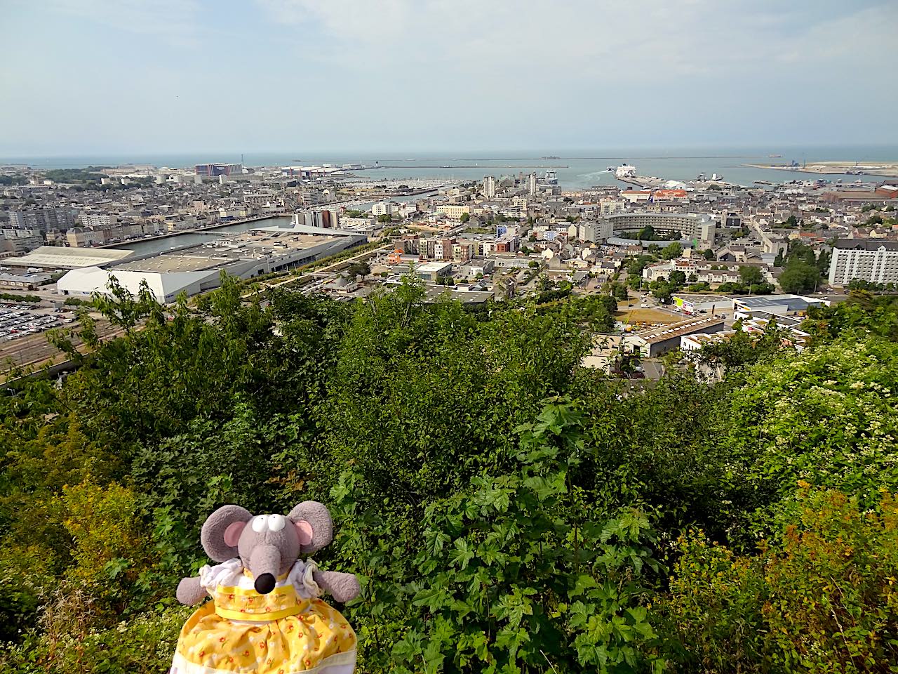 vue sur Cherbourg depuis le fort du Roule