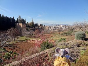L'Alhambra et le Generalife l'hiver