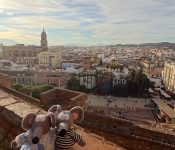 centre de Malaga vu depuis l'Alcazaba