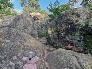 Rochers du chaos d'Apremont, en forêt de Fontainebleau