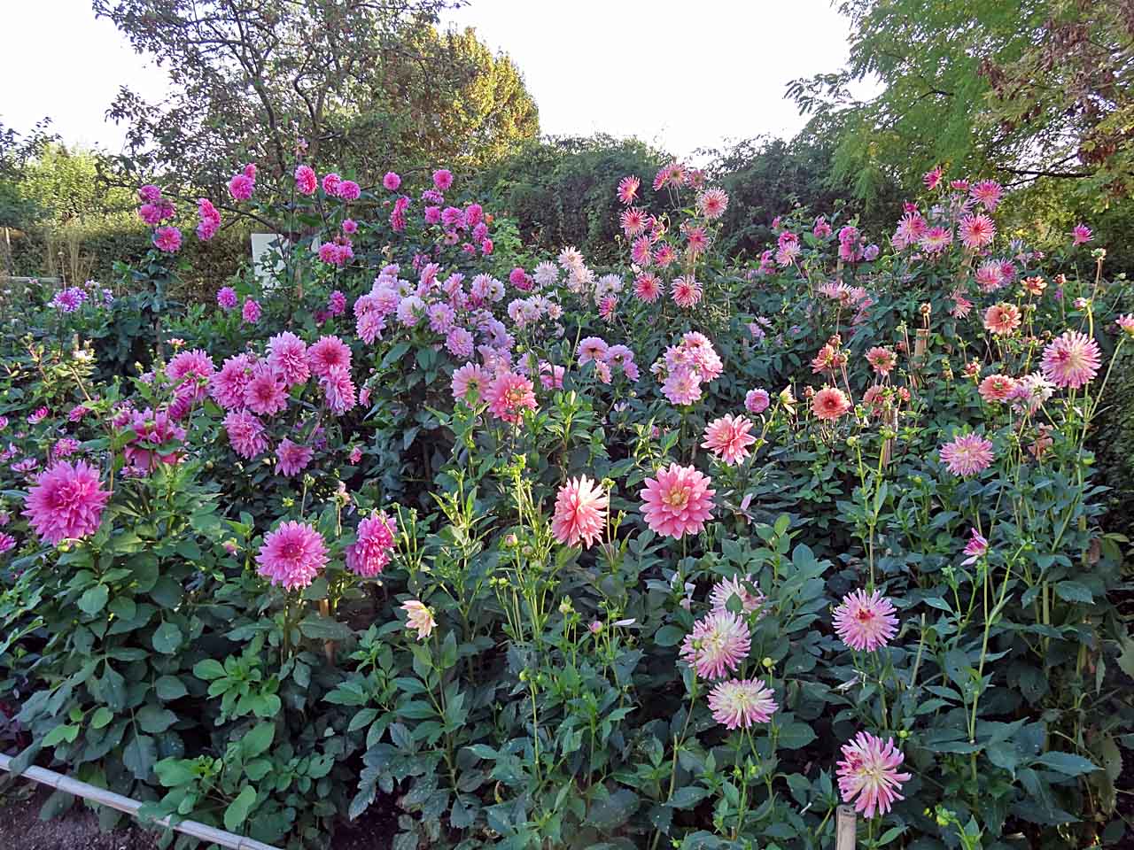 Jardin du musée des Impressionnismes à Giverny