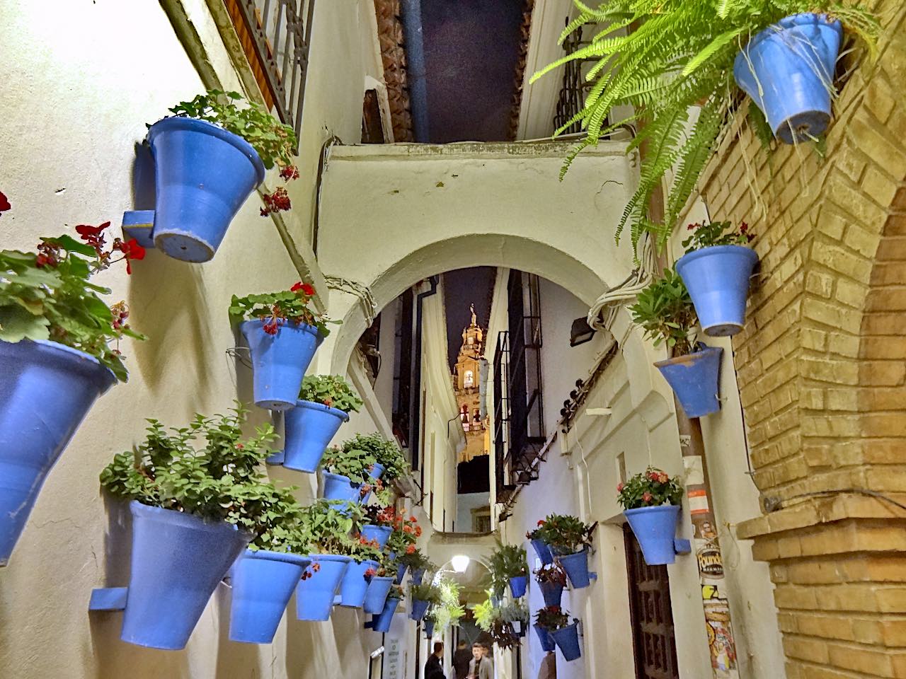 calleja de las flores à Cordoue