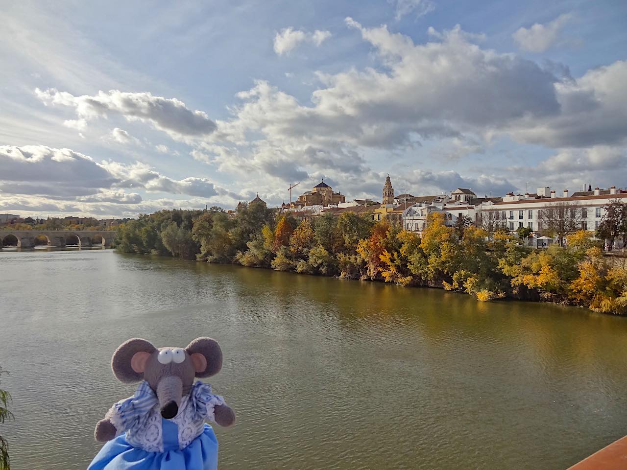 Le Guadalquivir à Cordoue en automne