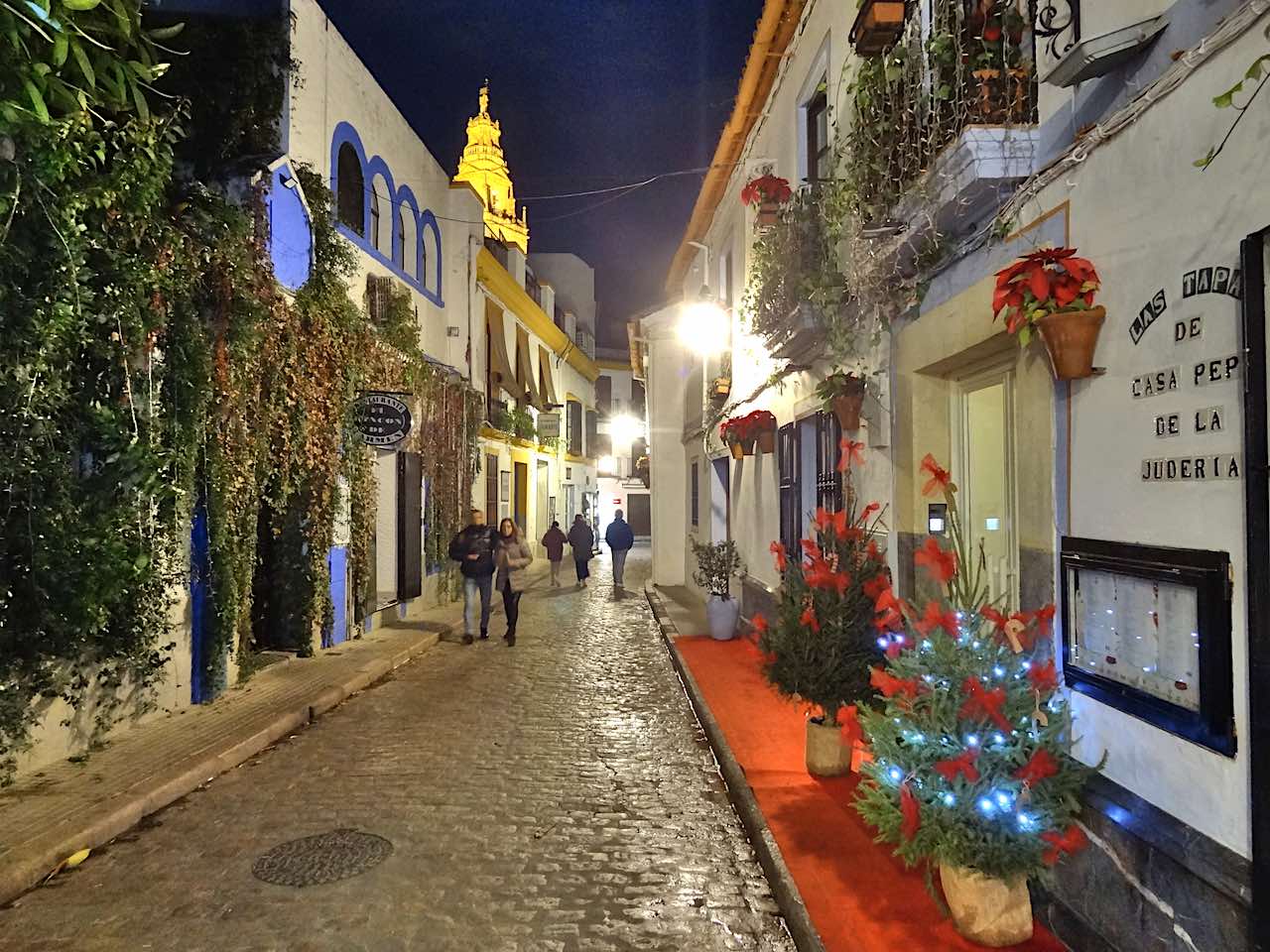 une rue du centre historique de nuit à Cordoue