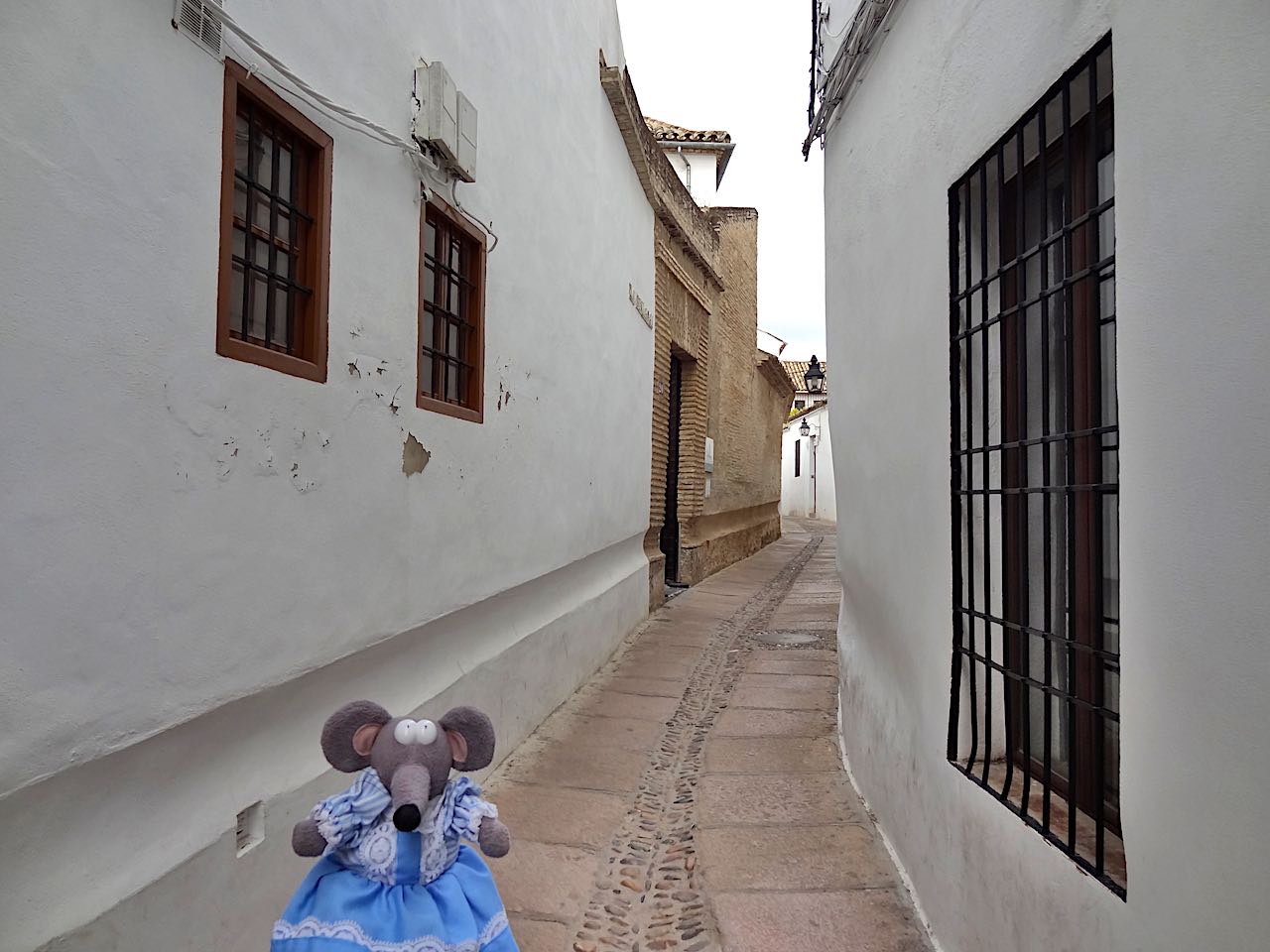 calle judios à Cordoue