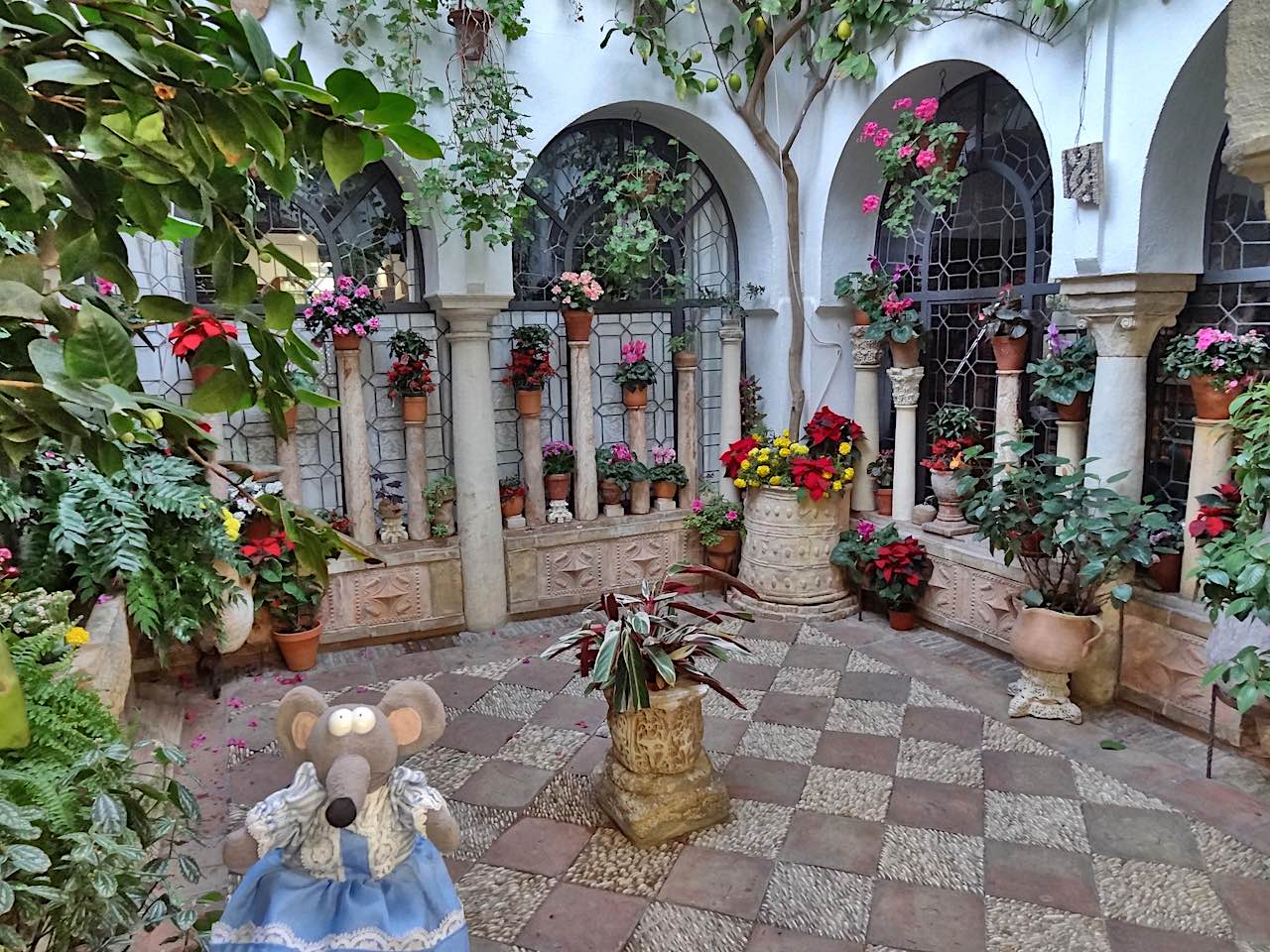 patio de San Basilio à Cordoue