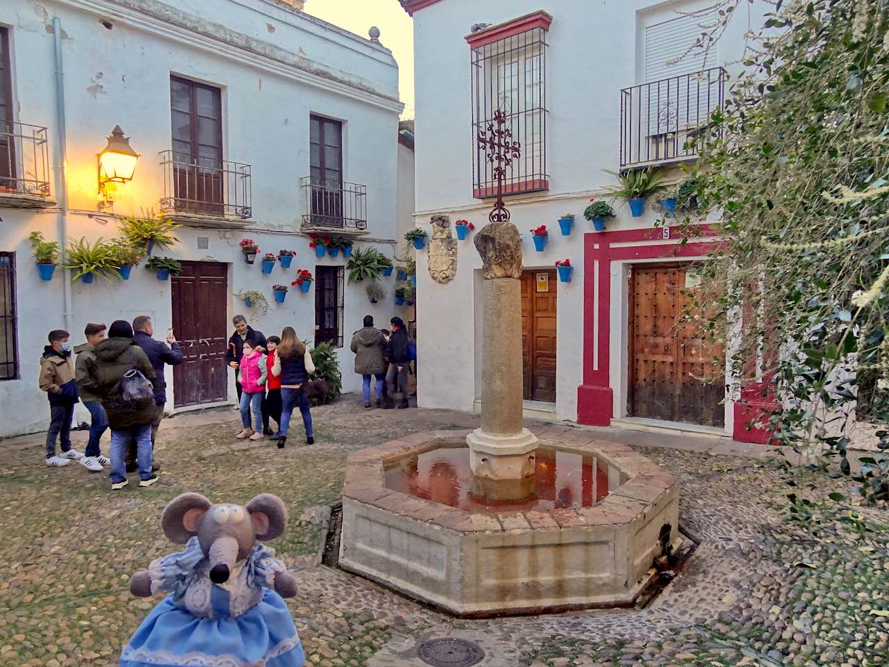 Plaza de las flores à Cordoue