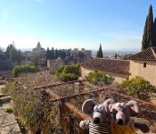 Alhambra et Generalife de Grenade