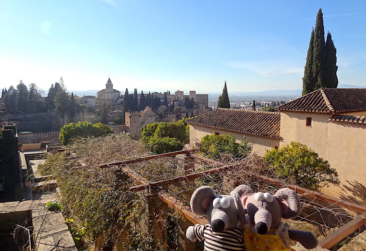 Vue sur l'Alhambra de Grenade