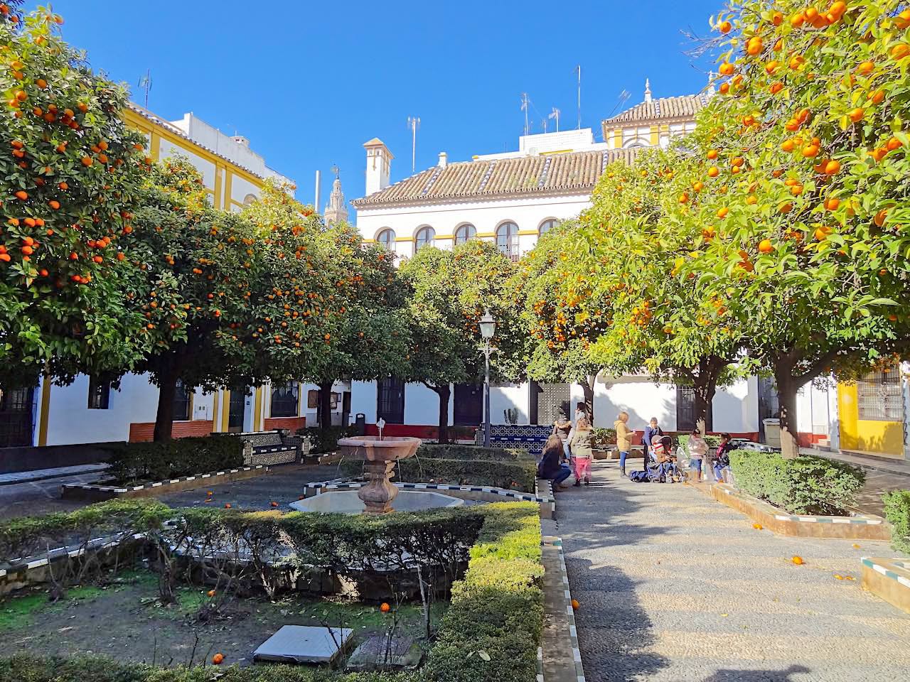 Plaza Doña Elvira à Séville