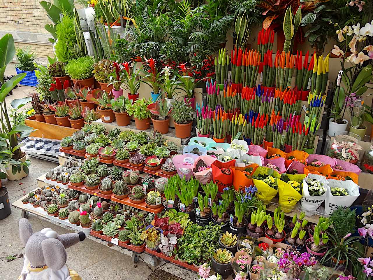 marché aux fleurs d'Alicante