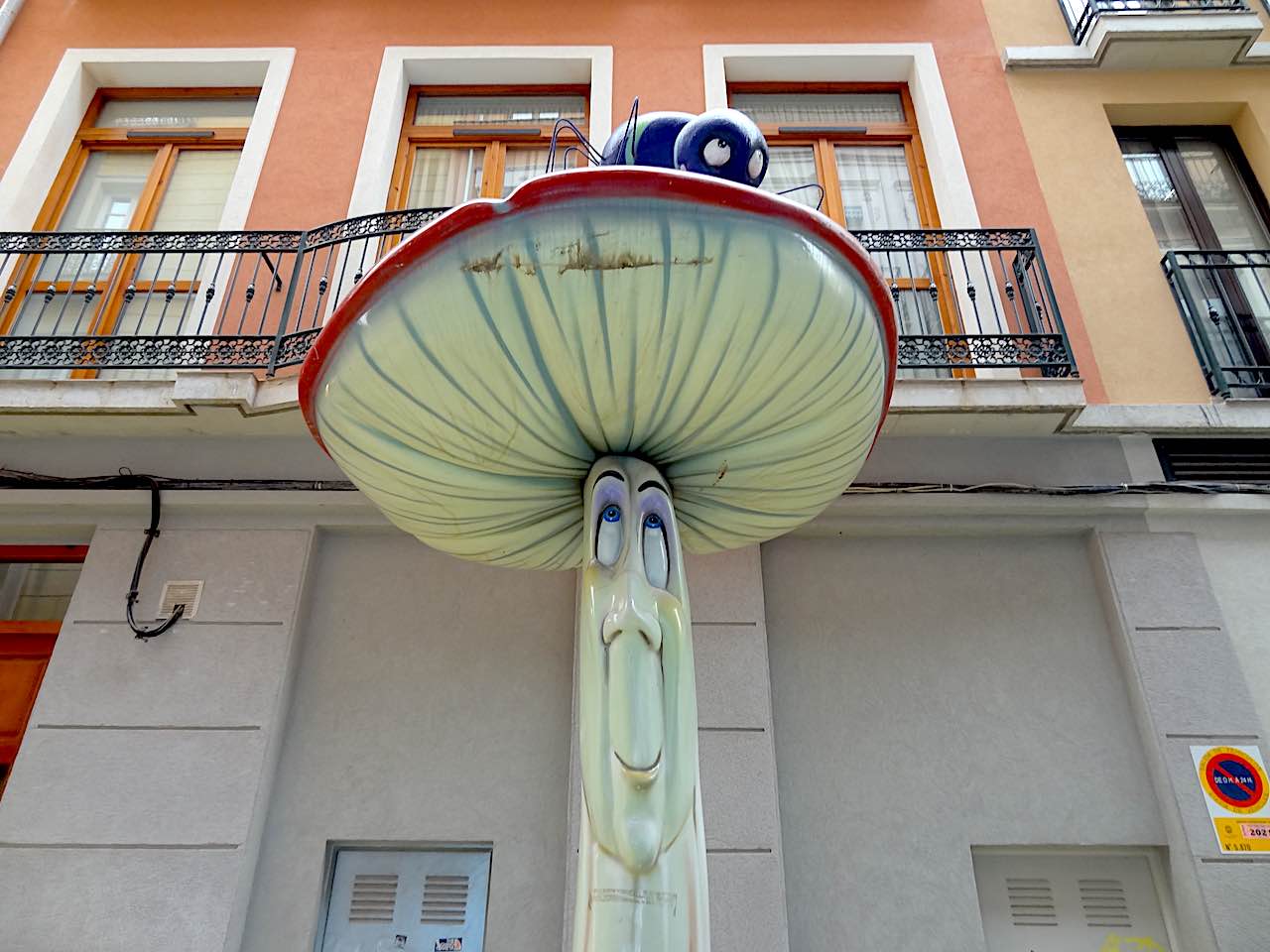 rue des champignons à Alicante