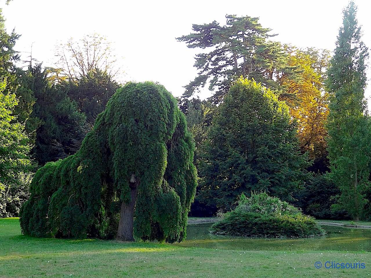 jardin à l'anglaise parc de Bagatelle