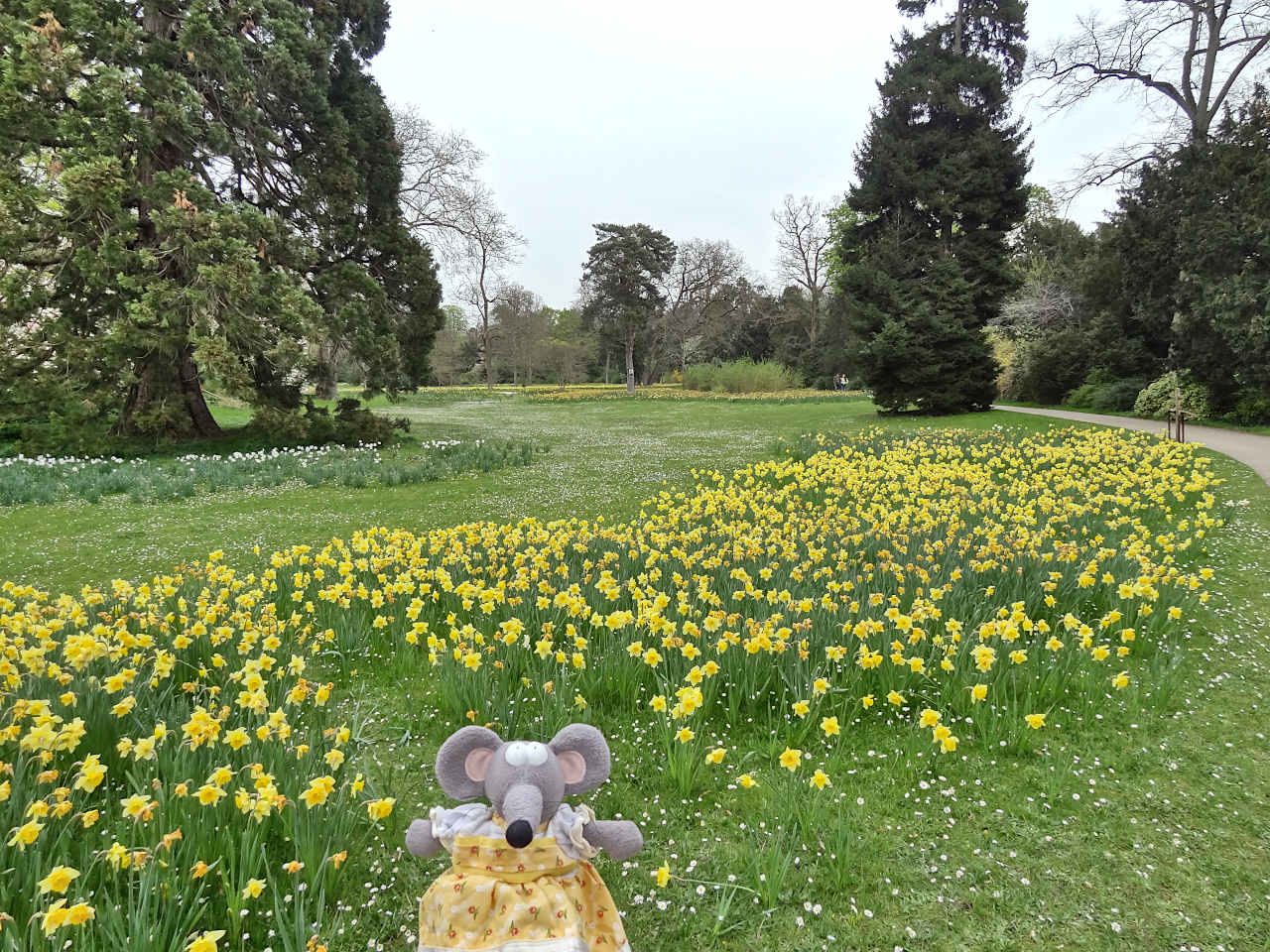 jardin anglais de Bagatelle