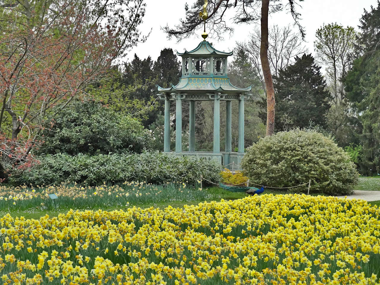 pavillon chinois à Bagatelle