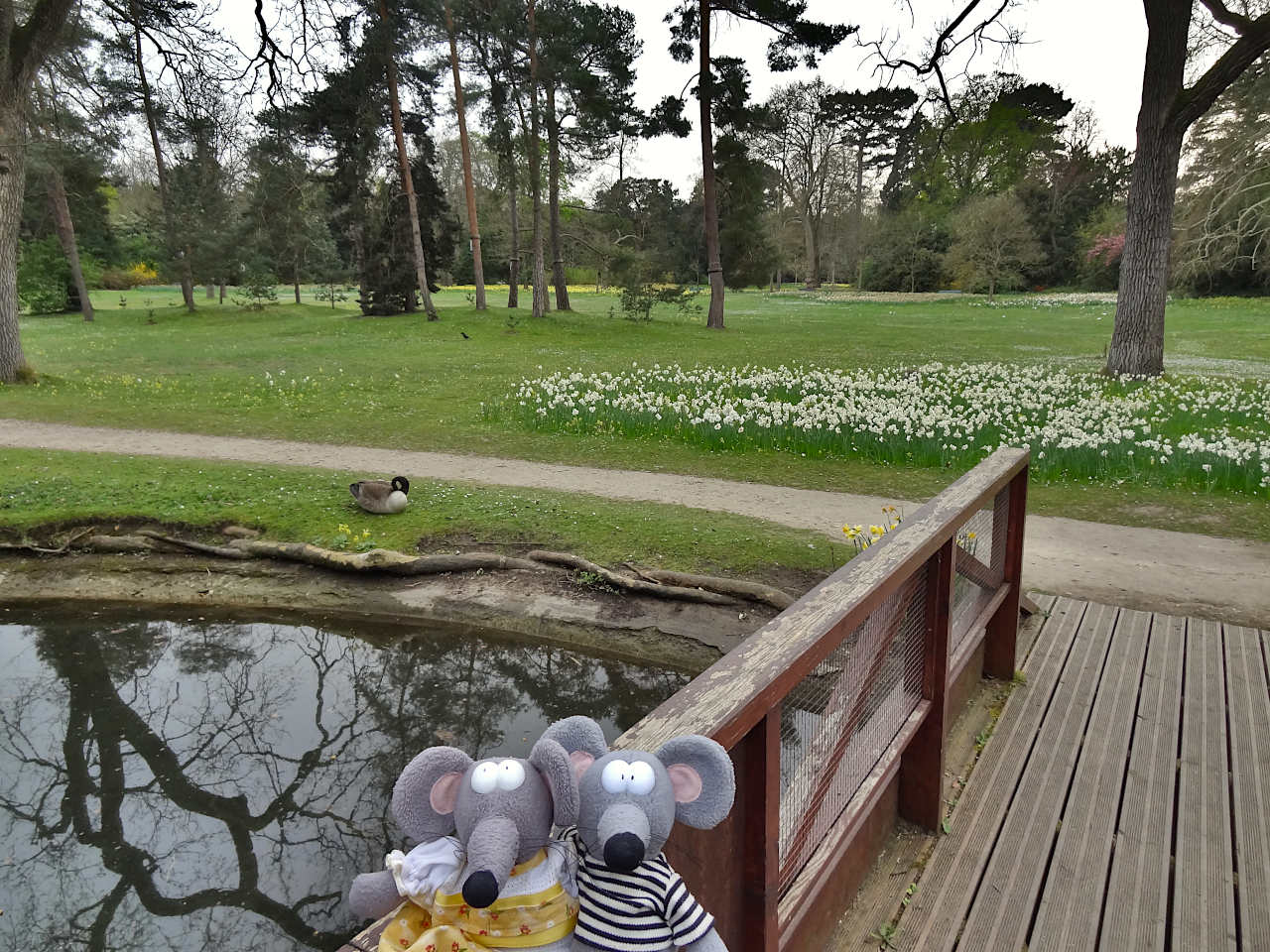 parc de Bagatelle à Paris