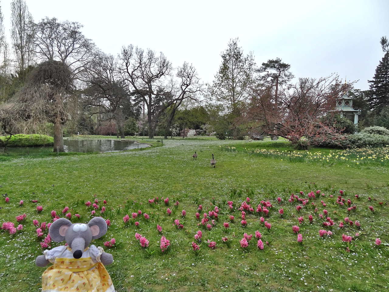 parc de Bagatelle à Paris